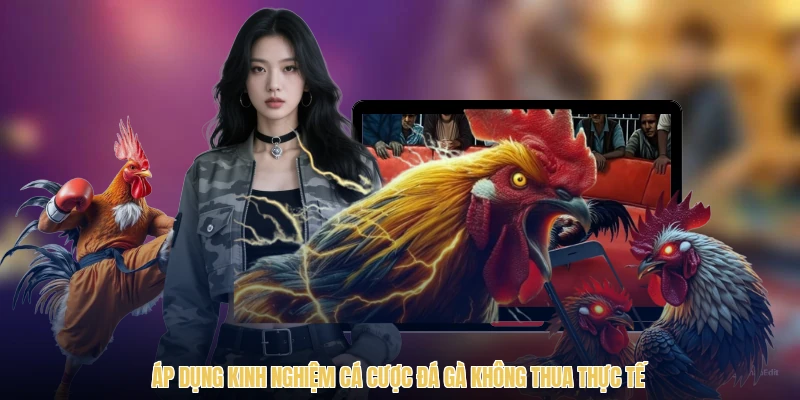 Áp dụng kinh nghiệm cá cược đá gà không thua thực tế