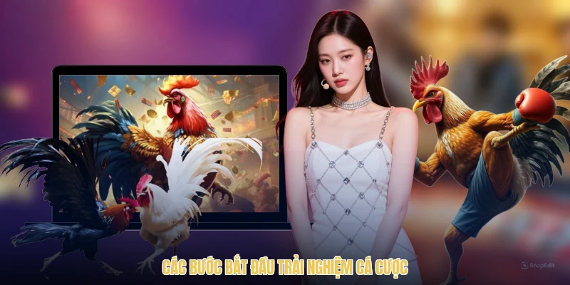 Các bước bắt đầu trải nghiệm cá cược