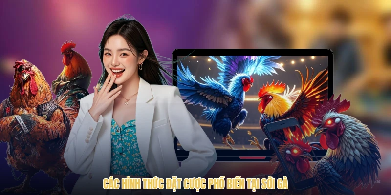 Các hình thức đặt cược phổ biến tại sới gà
