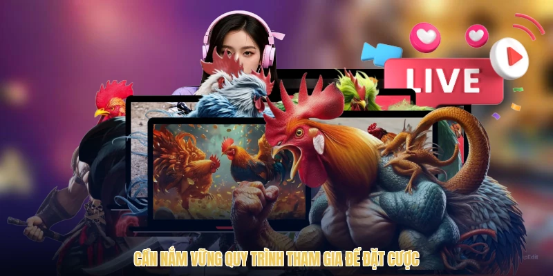Cần nắm vững quy trình tham gia để đặt cược