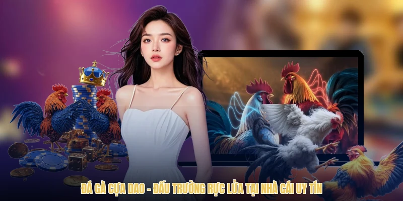 Đá Gà Cựa Dao - Đấu Trường Rực Lửa Tại Nhà Cái Uy Tín