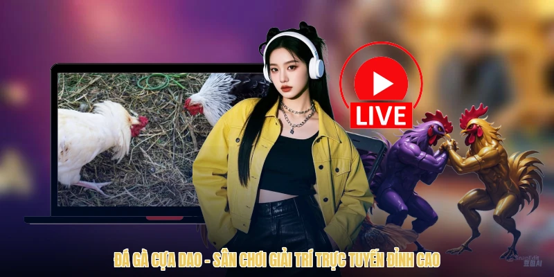 Đá Gà Cựa Dao - Sân Chơi Giải Trí Trực Tuyến Đỉnh Cao