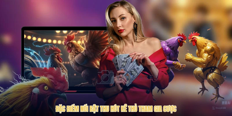 Đặc điểm nổi bật thu hút kê thủ tham gia cược