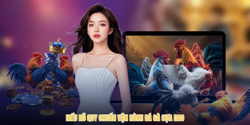 Hiểu rõ quy chuẩn vận hành đá gà cựa dao