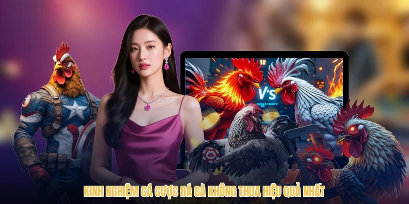 Kinh Nghiệm Cá Cược Đá Gà Không Thua Hiệu Quả Nhất