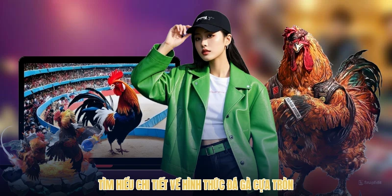 Tìm hiểu chi tiết về hình thức đá gà cựa tròn