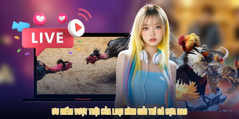 Ưu điểm vượt trội của loại hình giải trí gà cựa dao